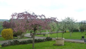 A park with a central tree, a fountain, and a pathway.