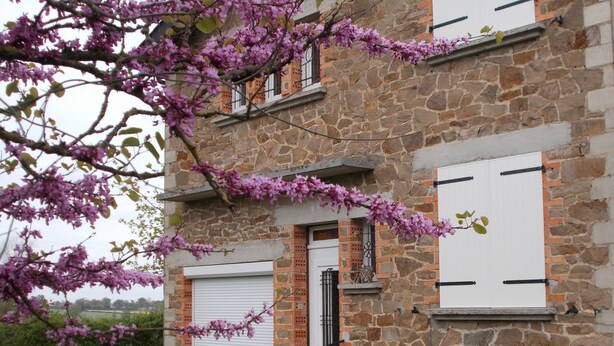 Un bâtiment en pierre avec une porte et des volets blancs, entouré d’un jardin où poussent des arbres à fleurs roses.