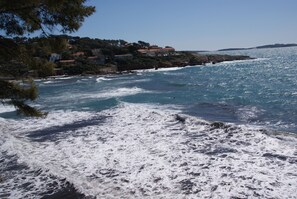 Beach nearby - LUXURY T3 WITH GARAGE 150m FROM THE PORT (Sanary-Sur-Mer)