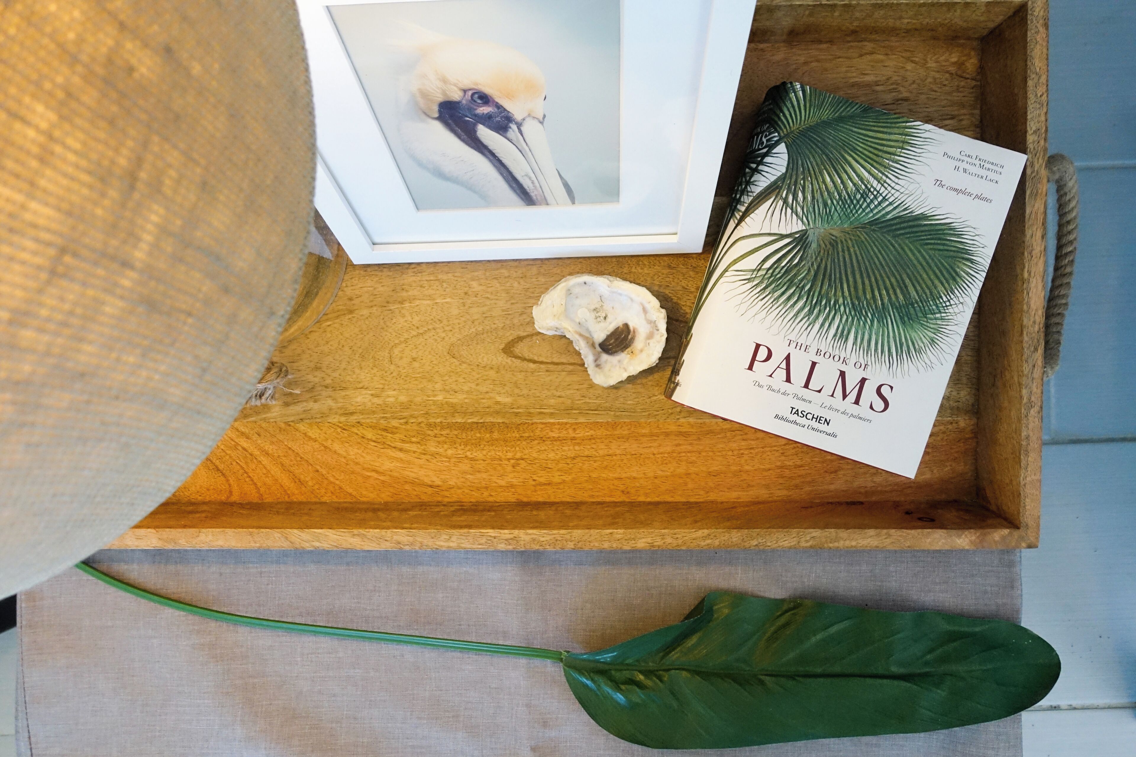 A wooden tray with a framed bird photograph, a book titled 'The Book of PALMS', and a green leaf.