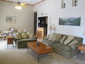 Smart TV, fireplace, DVD player, books