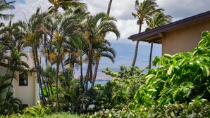 Un jardin tropical avec des palmiers et une vue sur l’océan.