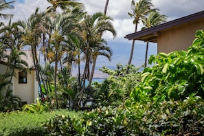 Terrain de l’hébergement 