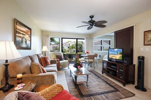 Televisie, een dvd-speler en boeken