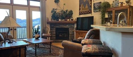 Televisión, chimenea, reproductor de DVD y libros