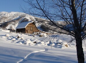 Situated in a serene natural setting, this cabin offers a secluded retreat with a traditional design.