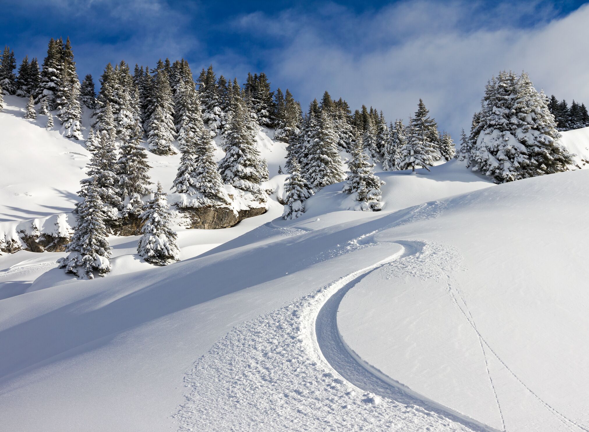 Un paysage enneigé, avec un sentier sinueux et des arbres chargés de neige.