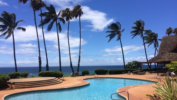 A swimming pool with a curved design, surrounded by palm trees and a view of the ocean. - Romantic Modern Upstairs Corner Studio with Ocean View, on the Island of Molokai (Maunaloa)