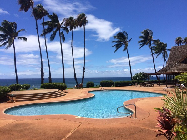 Outdoor pool - Romantic Modern Upstairs Corner Studio with Ocean View, on the Island of Molokai (Maunaloa)