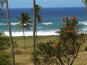 Una playa cerca, sillas reclinables de playa, toallas de playa