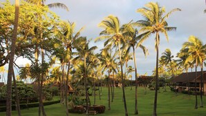 A lush, green landscape with tall palm trees and a well-maintained lawn. - Romantic Modern Upstairs Corner Studio with Ocean View, on the Island of Molokai (Maunaloa)