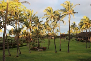 Property grounds - Romantic Modern Upstairs Corner Studio with Ocean View, on the Island of Molokai (Maunaloa)