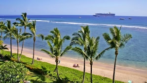 Een strand met palmbomen, een zandstrand en een cruiseschip op de achtergrond.