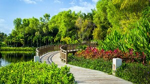 Un pasarela de madera que lleva a un puente sobre una masa de agua, rodeada de abundante follaje y plantas tropicales.