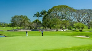 Un campo de golf con dos jugadores, exuberante vegetación y palmeras.
