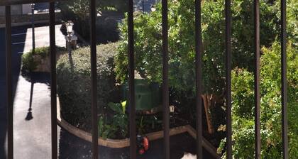 1/2 Block von der Hauptstraße im Herzen der Innenstadt