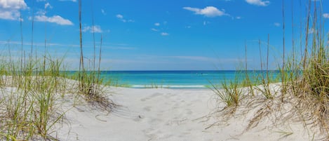 Playa en los alrededores