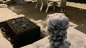 An outdoor patio area with a table and chairs, surrounded by snow-covered plants and a wooden fence.