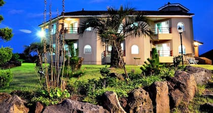 The Haus