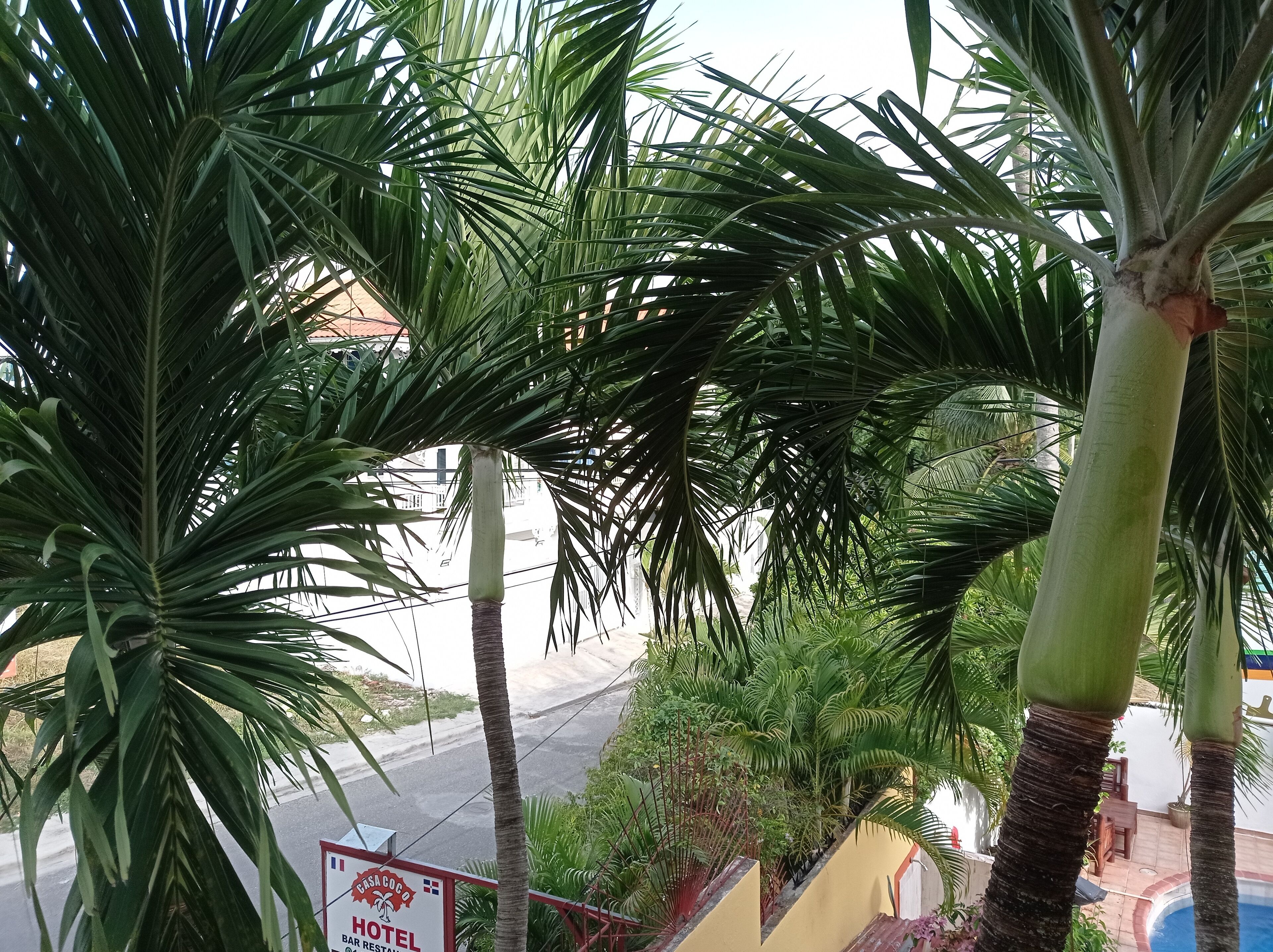 Photo - Hotel Casa Coco