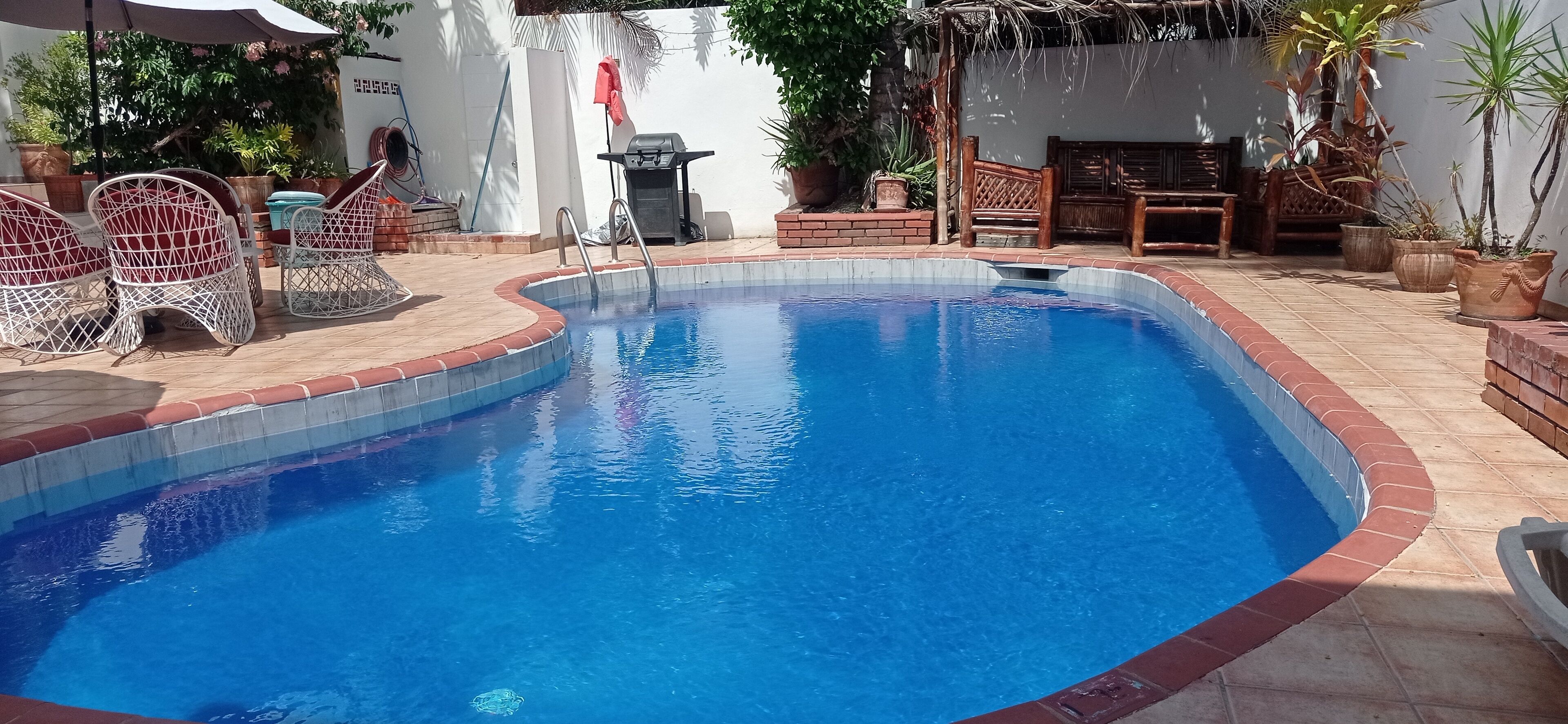 A swimming pool with a tiled edge, surrounded by outdoor furniture and potted plants.