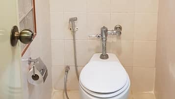 Shower, free toiletries, hair dryer, slippers