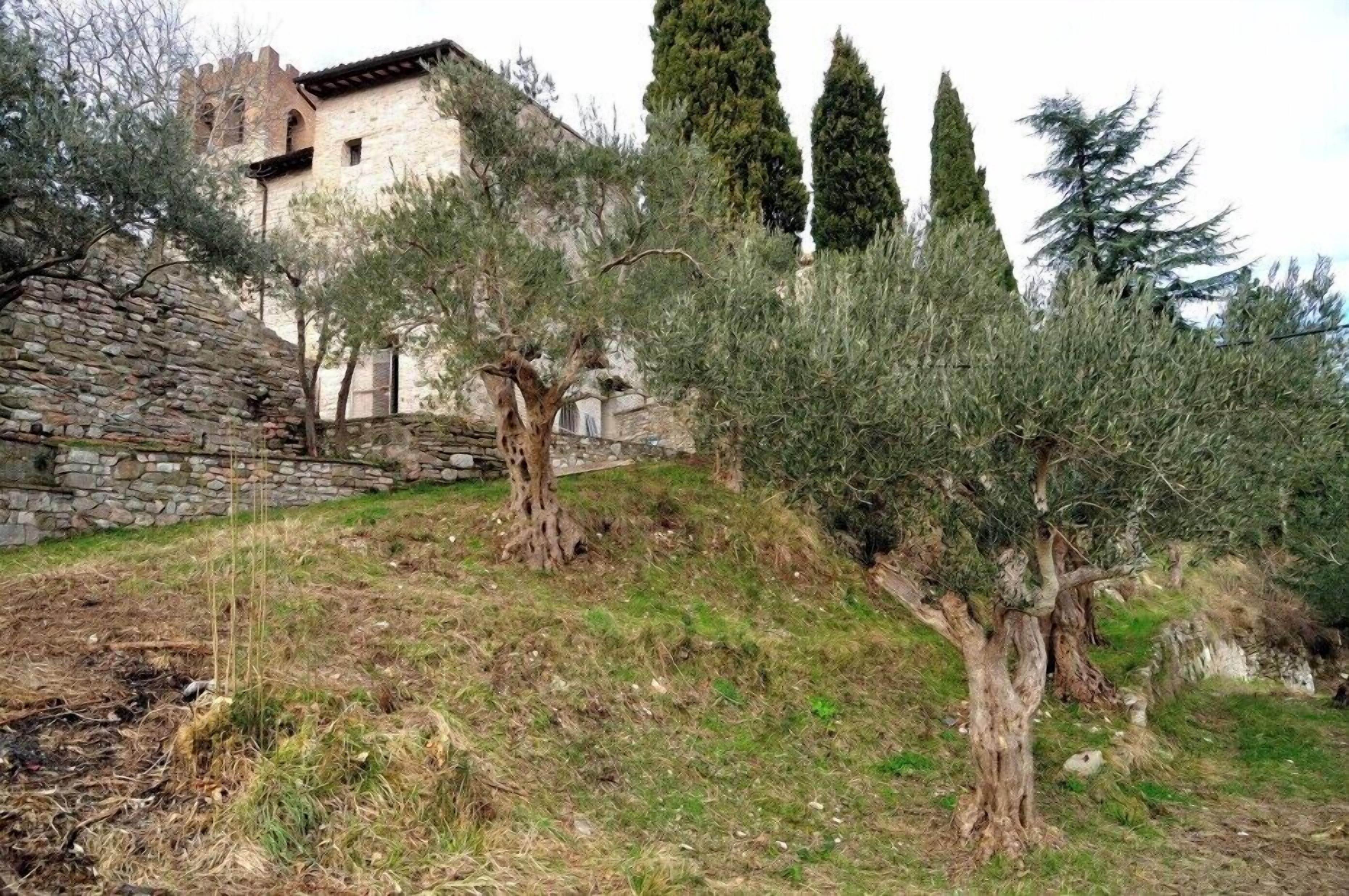 Quang cảnh nhìn từ nơi lưu trú