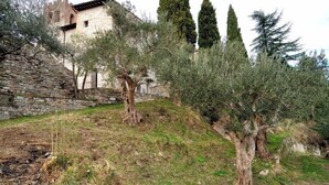 Un muro de piedra, olivos y un edificio con una torre.