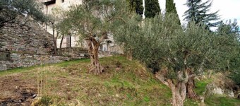 Domus Ecclesiae