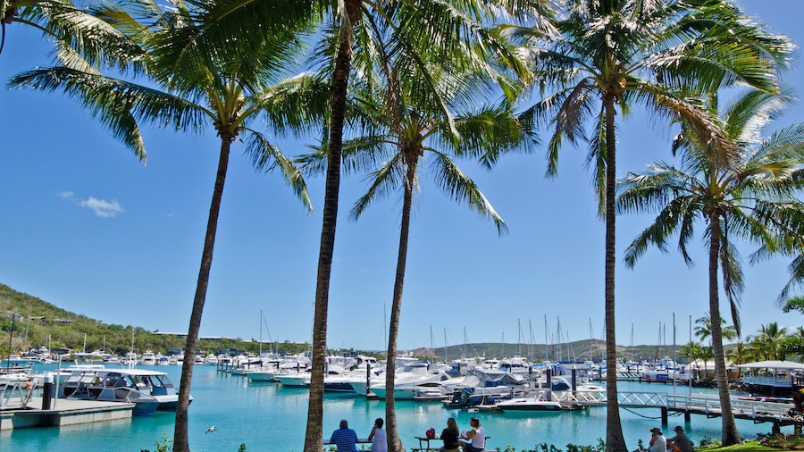 Hamilton Island Vacation Rentals