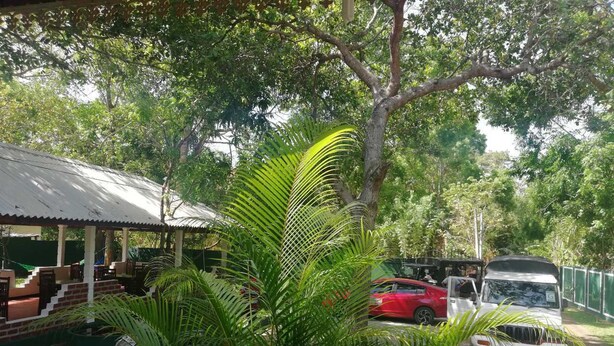 A covered outdoor seating area with a palm tree in the foreground, a red car, and a white SUV parked nearby. - N.L.I. Guest House (Habarana)