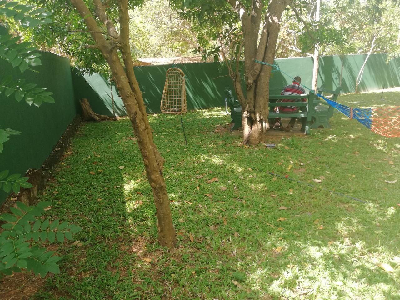 A backyard with a green fence, a tree, and a hammock.