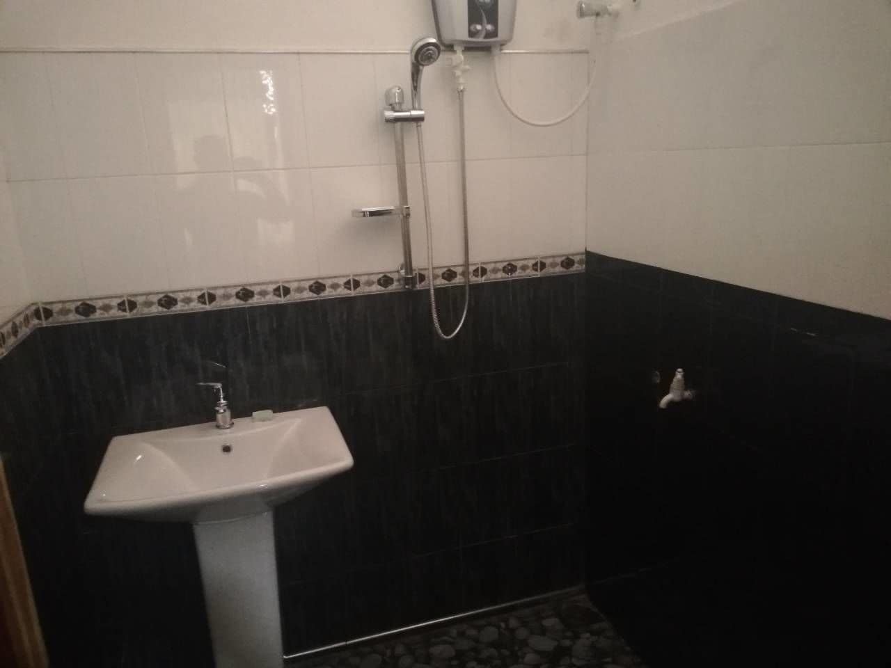 A bathroom with a white pedestal sink, a handheld showerhead, and a wall-mounted faucet.