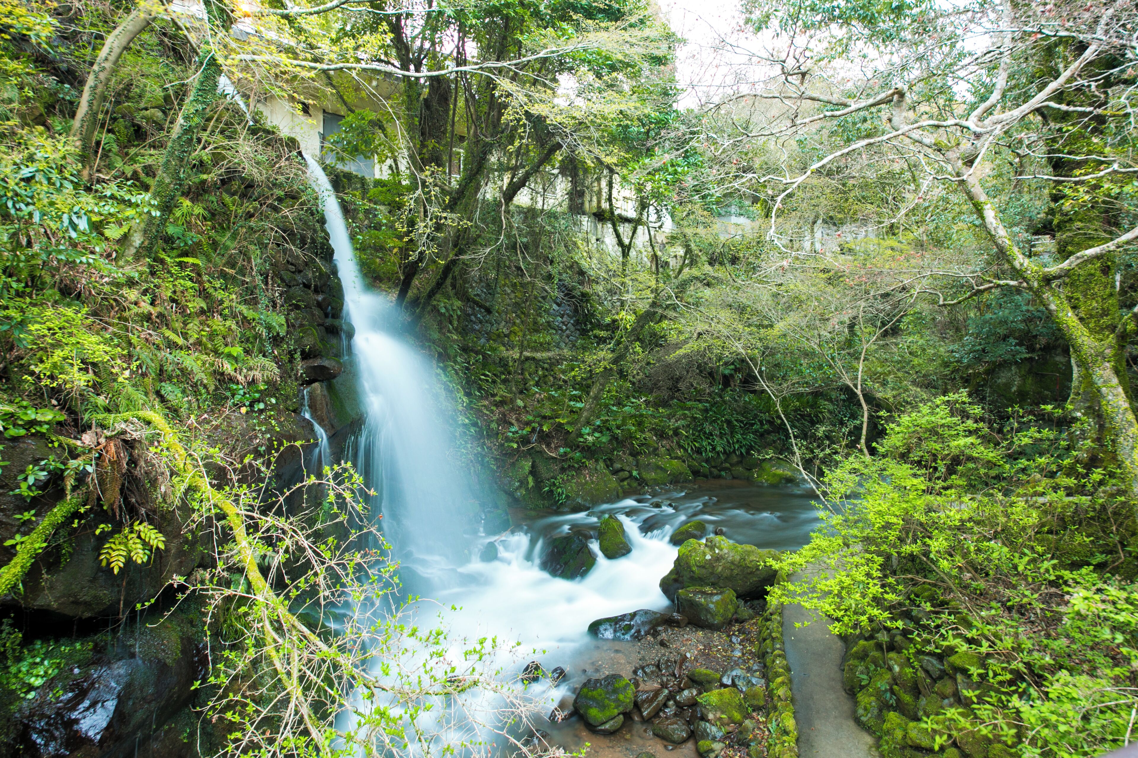 A waterfall surrounded by lush greenery and rocks.
