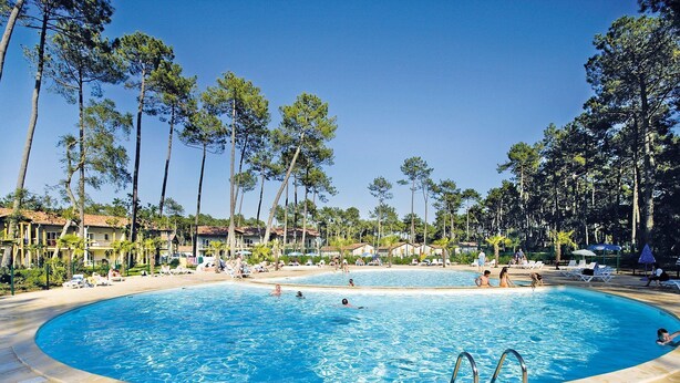 A large outdoor swimming pool surrounded by palm trees and lounge chairs. - Lovely apartment for 4 people with pool, WIFI, TV and terrace (Ondres)