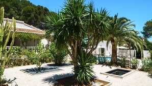 Ein Garten mit einer zentralen Palme, umgeben von Kiesbeeten und Kakteen.