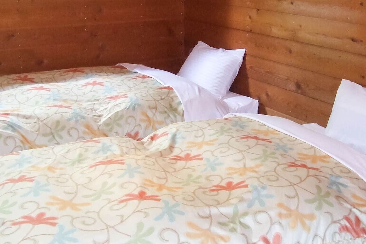 Een kamer met twee bedden, elk voorzien van beddengoed met bloemenmotief en witte kussens.