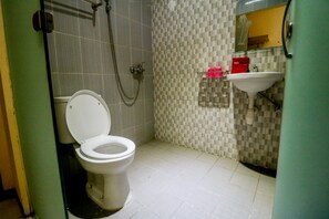 Shower, free toiletries, towels