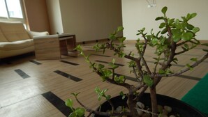 Interior detail - Dev Paradise (Tirupattur)