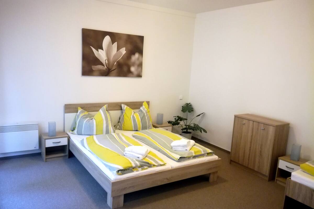 A bedroom with a bed, bedside tables, a nightstand, a potted plant, and a wooden cabinet.