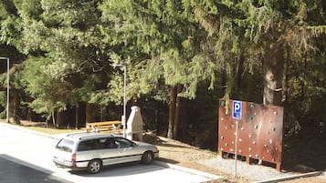 Free self parking