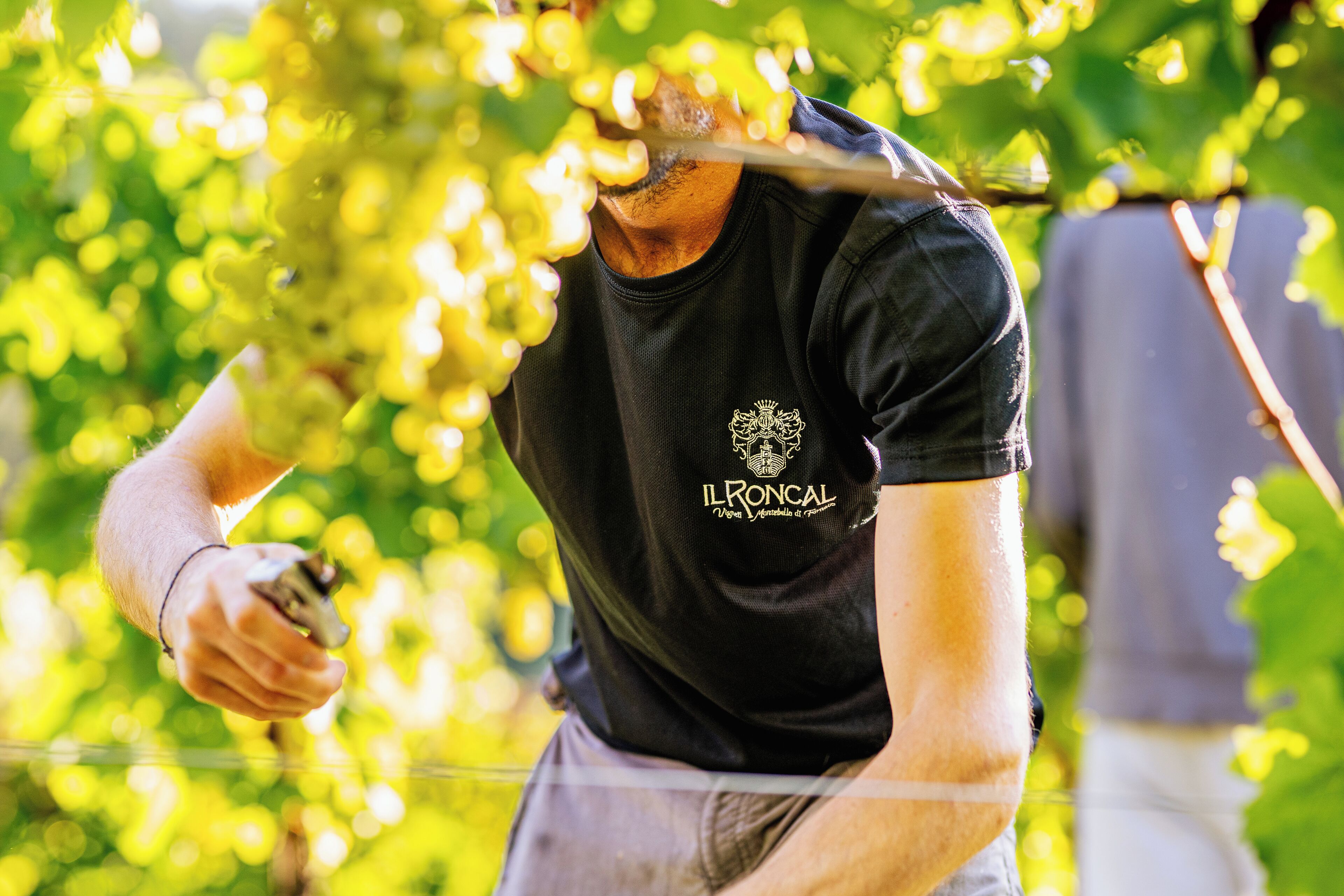 En person i en sort t-shirt med logo og tekst, der holder en kniv og en smartphone.