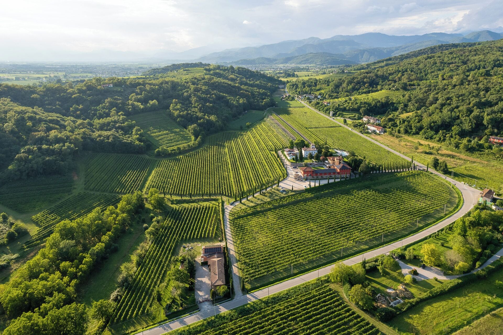 Vista aérea de um vinhedo com fileiras de videiras, um edifício central com telhado vermelho e vegetação exuberante ao redor.