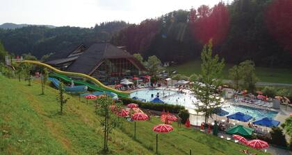 4 bedroom amazing home in Vrhnika