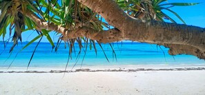 Beach - Loedi Bungalows Rote (Rote Island)