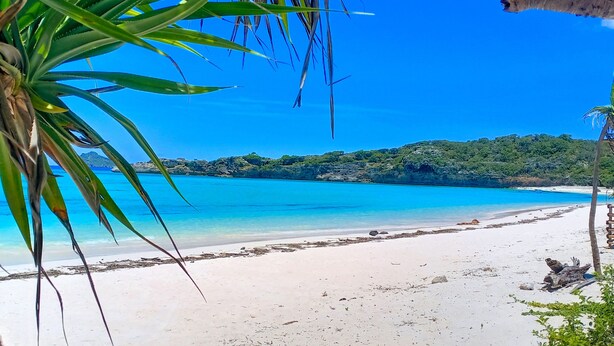 Una playa con agua azul cristalina, arena blanca y follaje verde.