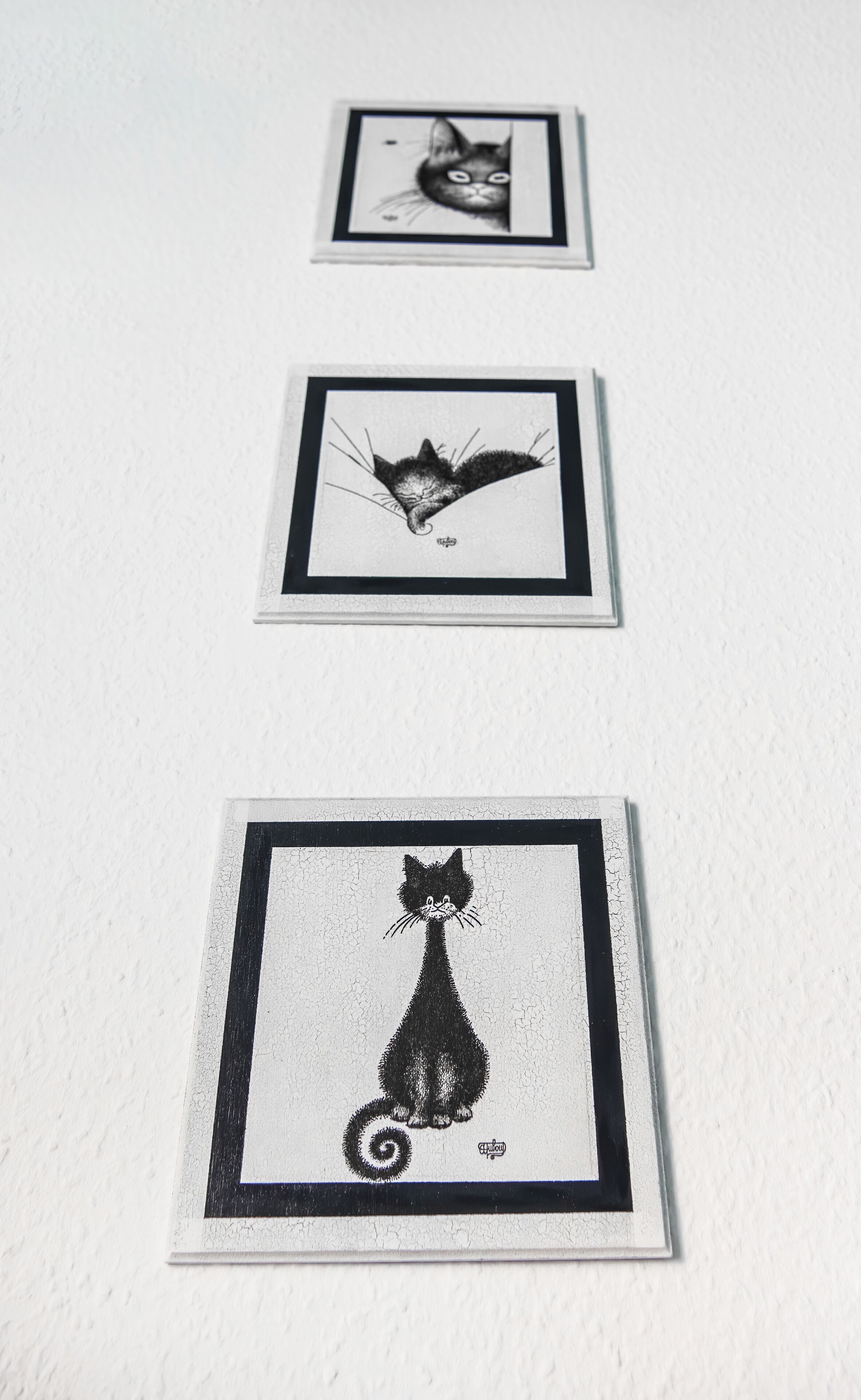 Trois illustrations encadrées en noir et blanc représentant des chats, accrochées à un mur blanc.