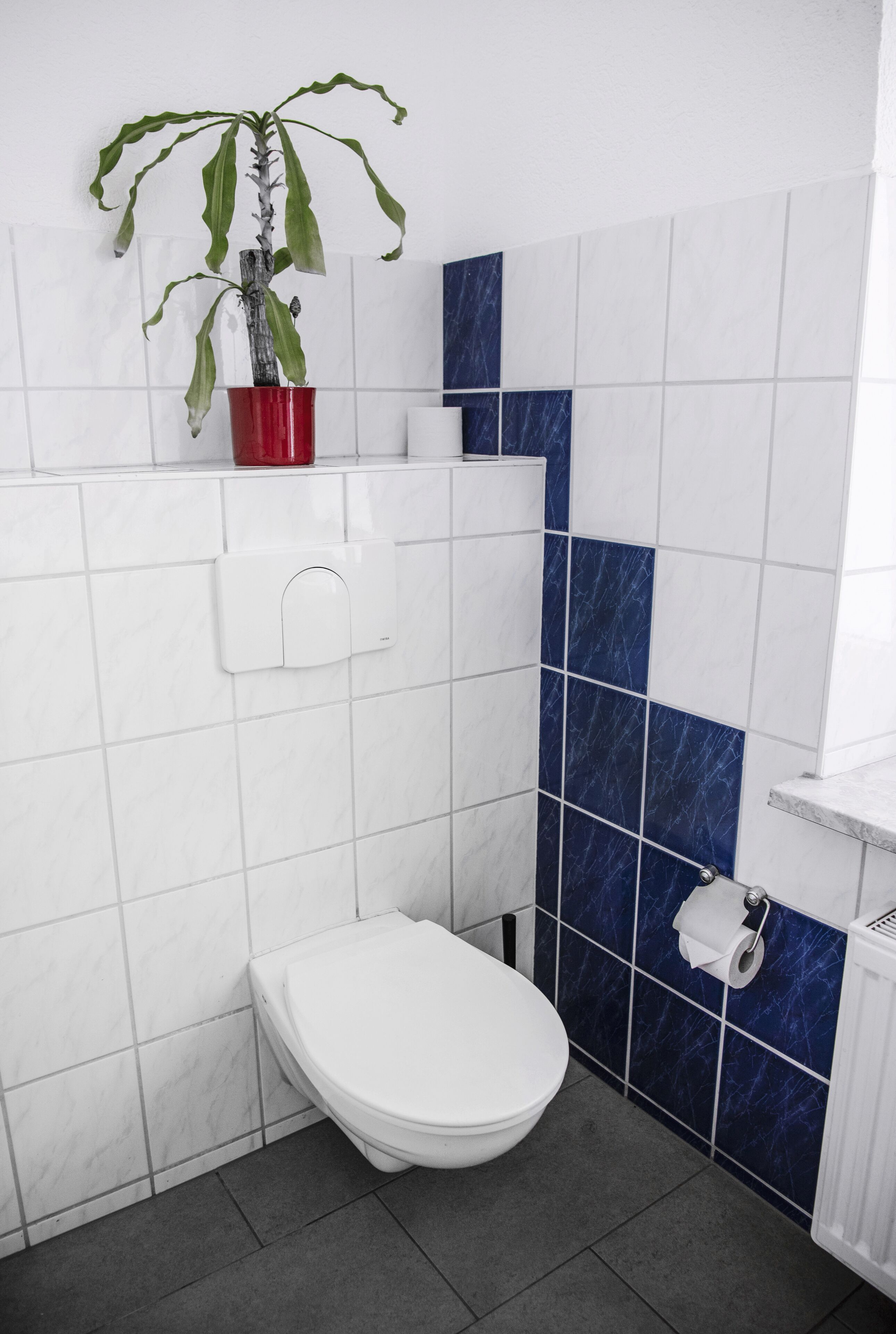 A bathroom with a white toilet, a blue-tiled wall, and a potted plant on the wall.