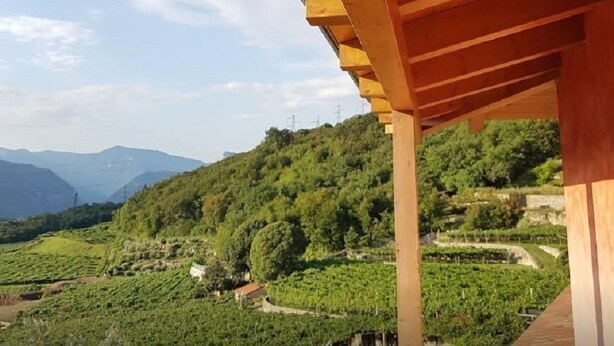 A wooden pergola structure with a view of a lush green vineyard and distant mountains. - Maso Fiorini (Isera)