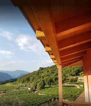 Utsikt från boendet